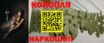спайс Малгобек