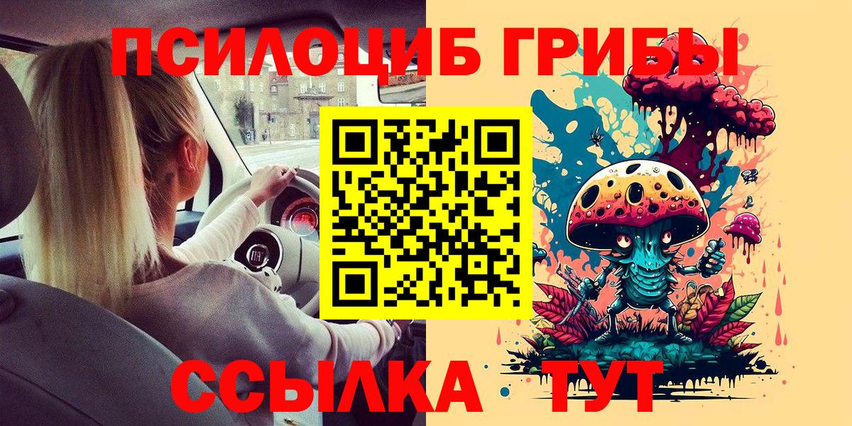 Галлюциногенные грибы Psilocybe Городец